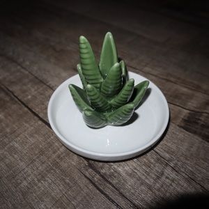 Jewelry Organizer Succulent Decor